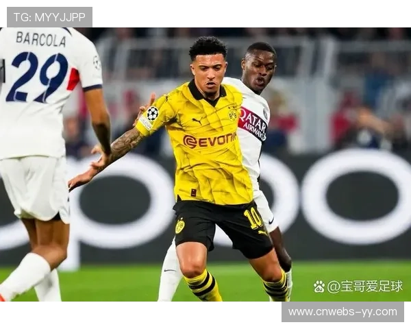 多特蒙德成功为厄兹詹与伊纳西奥完成欧冠注册